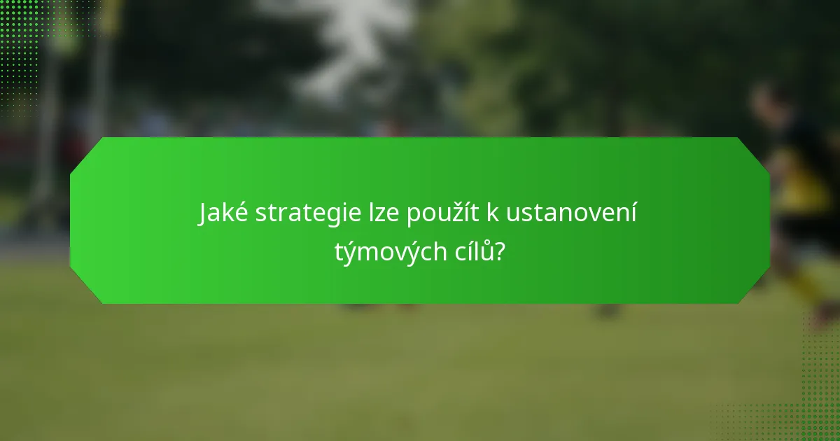 Jaké strategie lze použít k ustanovení týmových cílů?